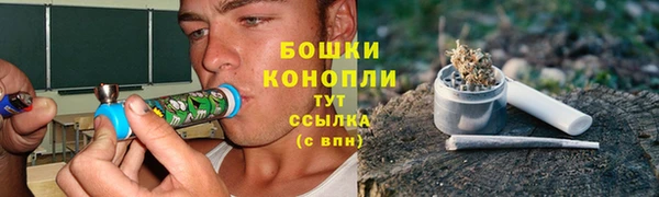 герыч Мегион