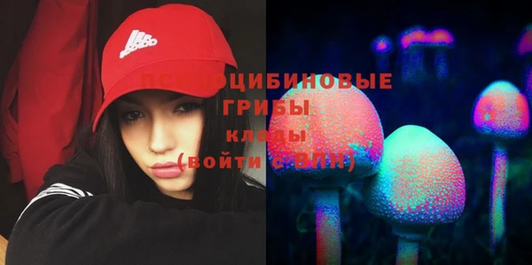 2c-b Верхний Тагил