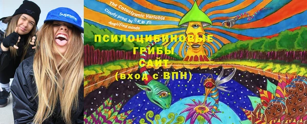 2c-b Верхний Тагил