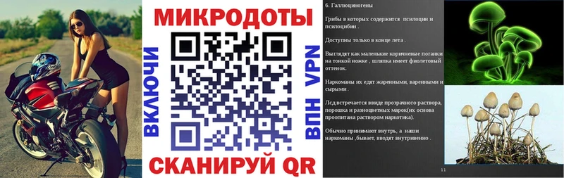 Псилоцибиновые грибы мицелий Гдов